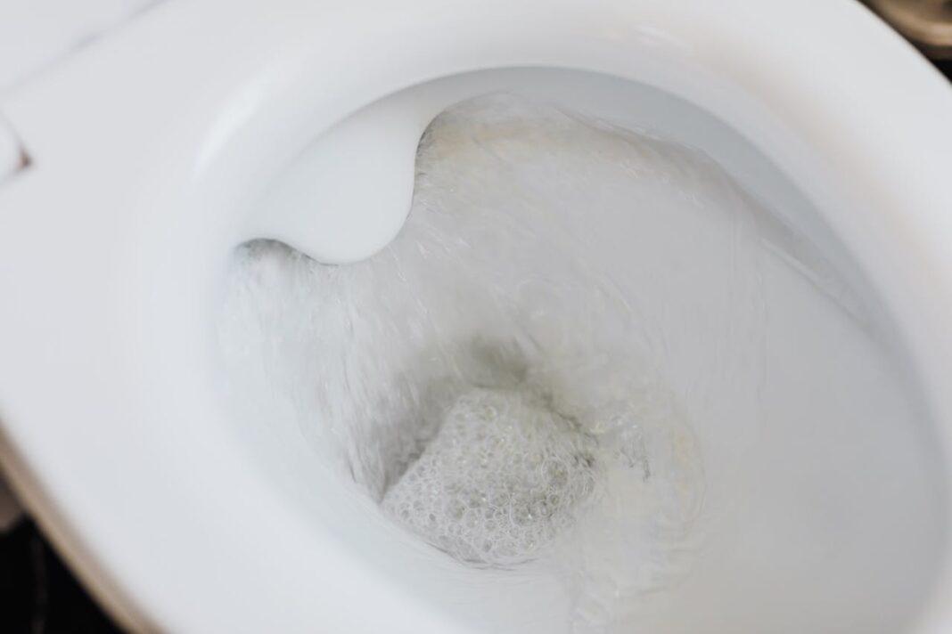 Come sturare il WC? Cause, rimedi casalinghi e l'aiuto dell'idraulico